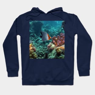 Angelfish Hoodie